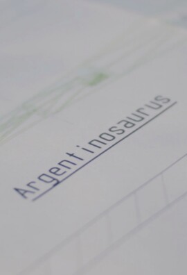 Galerieauswahl_Zoo_Dino_Aufbaudoku_4